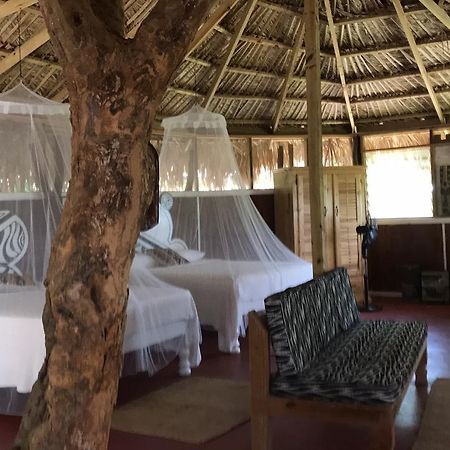 Moringa Ingadi Treasure Beach Exterior foto