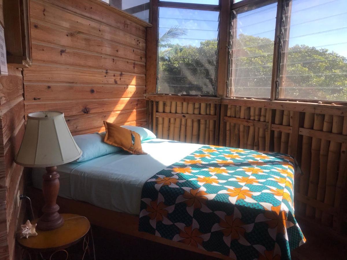 Moringa Ingadi Treasure Beach Exterior foto